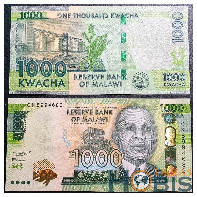 Malavis 1000 kvačų, 2021 P-67e