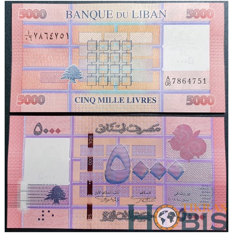 Libanas 5000 Livres, 2014 P-91b