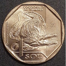 PERU 1 SOLIS, 2017 AMERICAN CROCODILE
