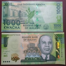 Malavis 1000 kvačų, 2024 P-67g