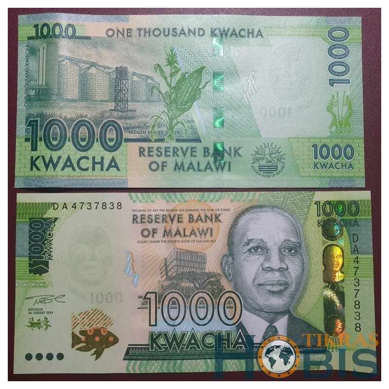 Malavis 1000 kvačų, 2024 P-67g