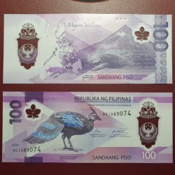 Filipinai 100 Piso, 2024...