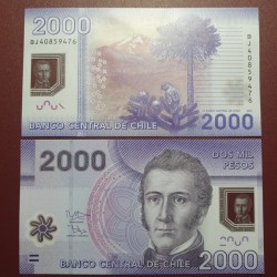 Čilė 2000 Pesos, 2014 P-162d
