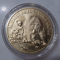 Slovakia 5 euro, 2023 Brown...
