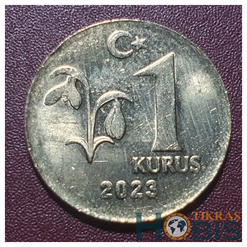 Turkija 1 kurušas, 2023 UC7