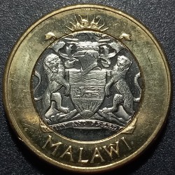 Malavis 10 kvačų, 2006 KM58