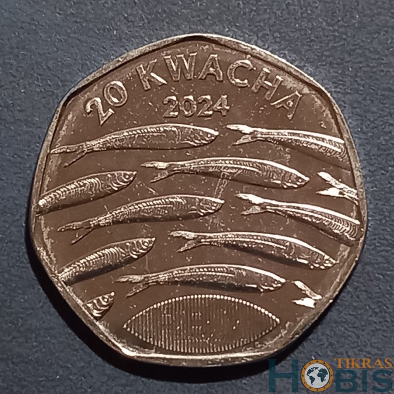Malavis 20 kvačų, 2024 UC397