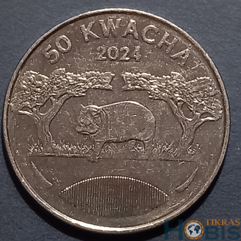 Malavis 50 kvačų, 2024 UC398