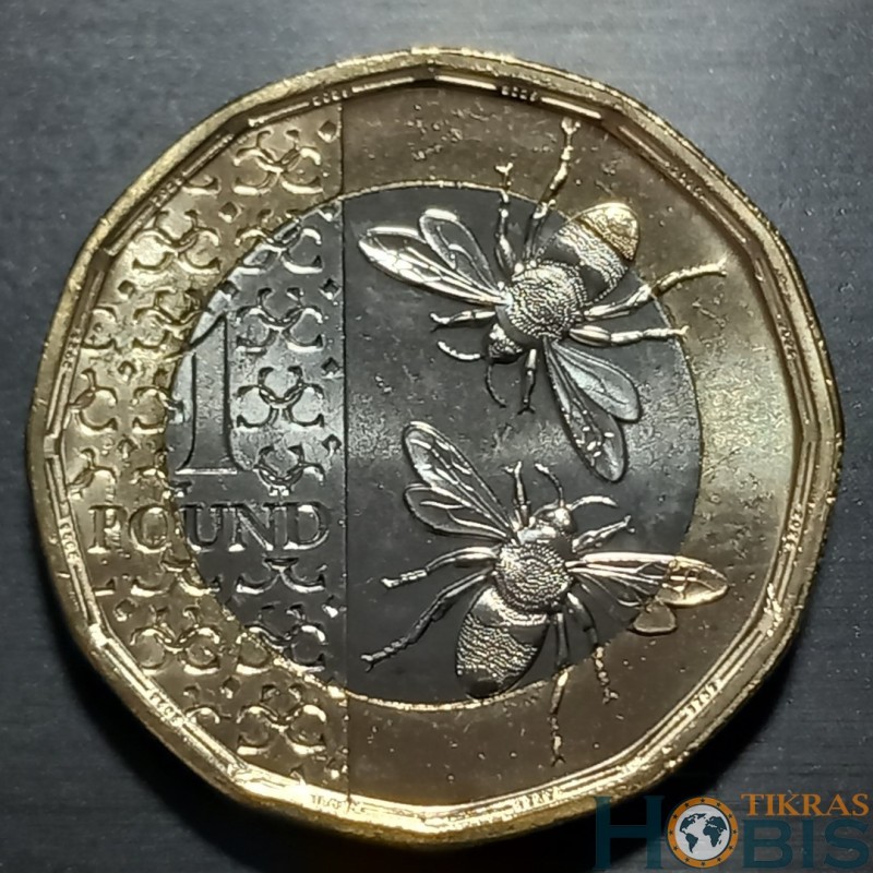 Anglija 1 svaras, 2025 UC1778