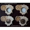 Wooden magnet for coin No 27