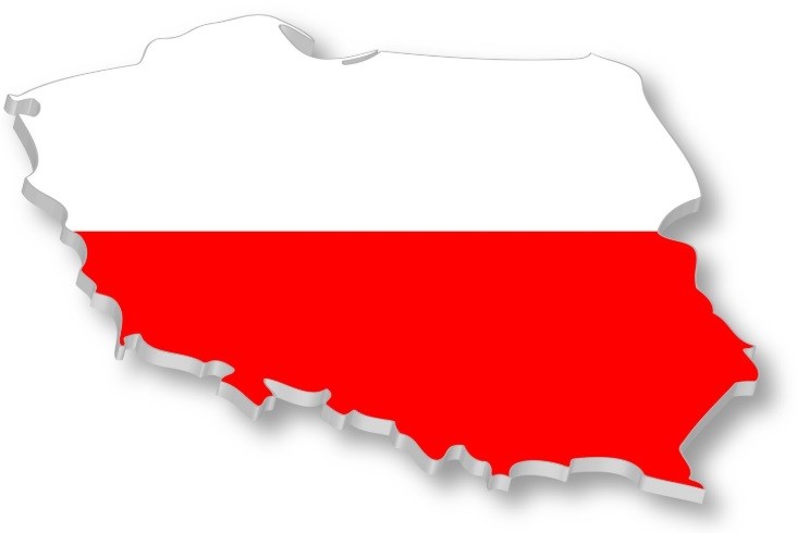 Lenkiška produkcija